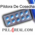 Píldora De Cosecha viagra3